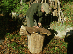 Création d'un Corégone en bois flotté.